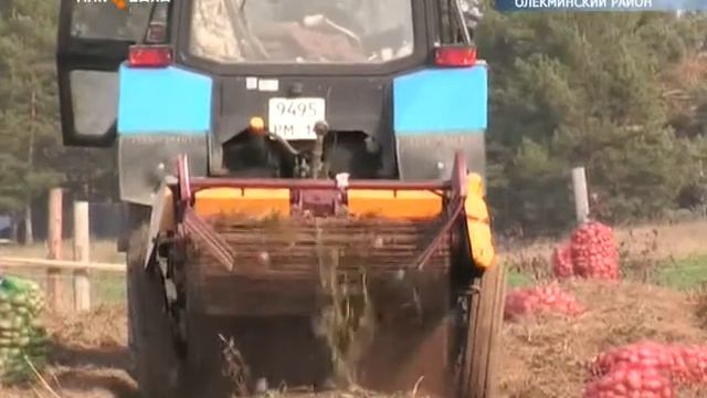 В Республике идет сбор урожая, в частности картофеля смотреть онлайн