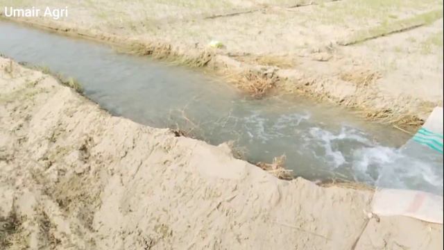 25 HP petter engine on tubewell || long polythene water circulation system смотреть онлайн