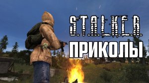 Приколы S.T.A.L.K.E.R. #5