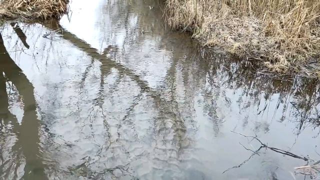 Учим Делать с Уверенностью