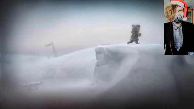 Never Alone PC Cute Winter Game GTX 950M 60FPS смотреть онлайн