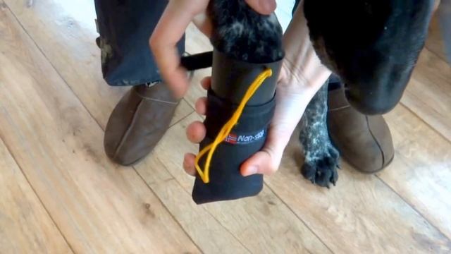 Как одеть тапочки на собаку смотреть онлайн