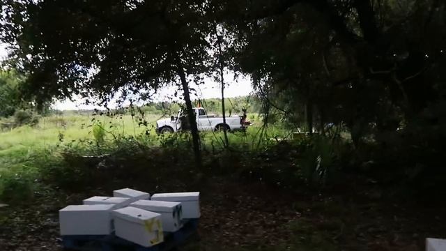 Короткий Итог Лета 2019 300+ семей смотреть онлайн