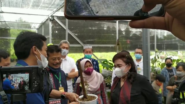 Pak Menteri & Istrinya "Kena Racun" Tanaman Hias смотреть онлайн