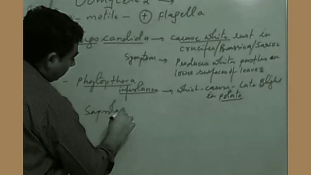 Specific Features Of Class Oomycete