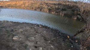 Avantis City 250 - Regulmoto TE 300