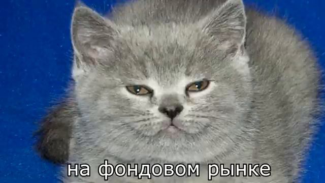 томас и уильям смотреть онлайн