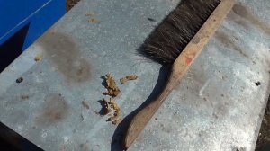 Как просто и быстро собрать прополис на пасеке!!!