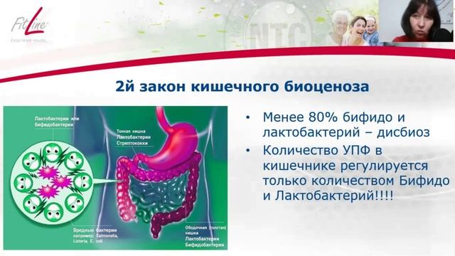 Грибная мозаика: сборка кусочков природы