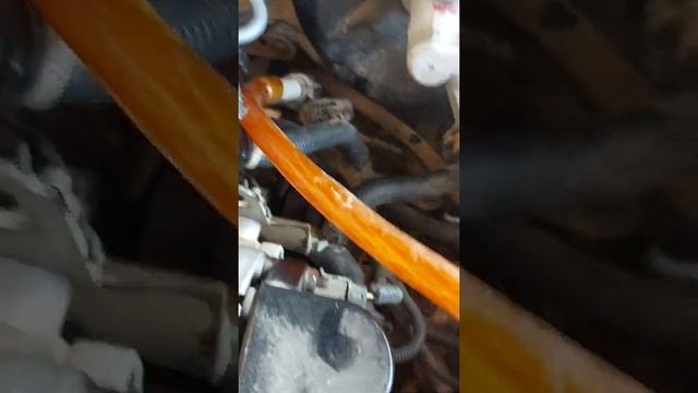 Пеш тазалау смотреть онлайн