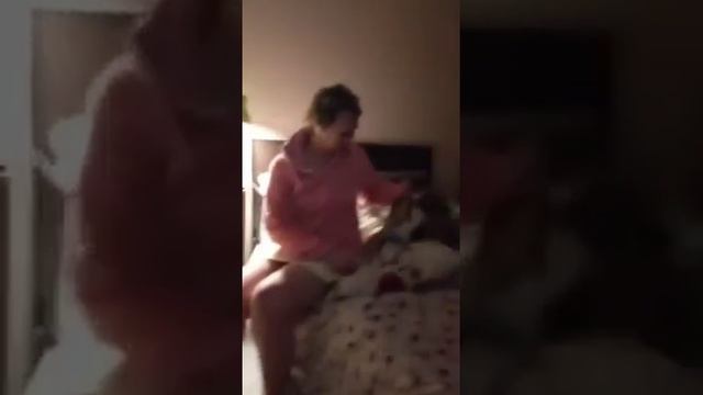 Собака прыгает с кровати на кровать смотреть онлайн