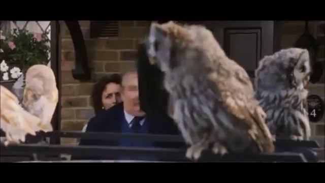 Owls Sending Letters To Harry Harry Potter and the Sorcerer's Stone 1 смотреть онлайн