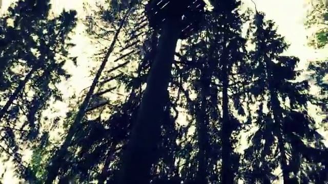 Прохождение трасс в веревочного парка в Ленинградской области @greenvald_park смотреть онлайн