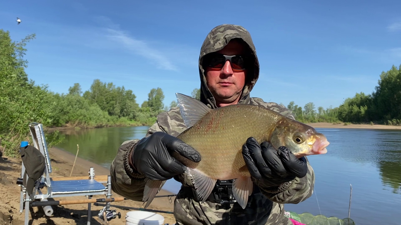 ЛЕЩ НА ФИДЕР НА РЕКЕ.mp4 смотреть онлайн