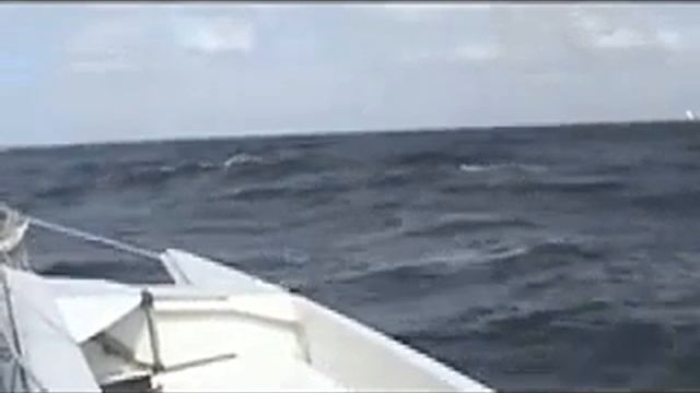 Sailing A Telstar 28 Trimaran on Buzzards Bay смотреть онлайн