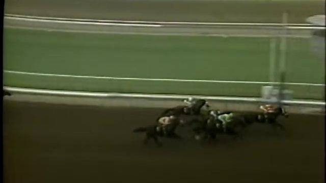 Lady's Secret, Argentario, Roo Art, Groovy, Wisla and more. From 1986 смотреть онлайн