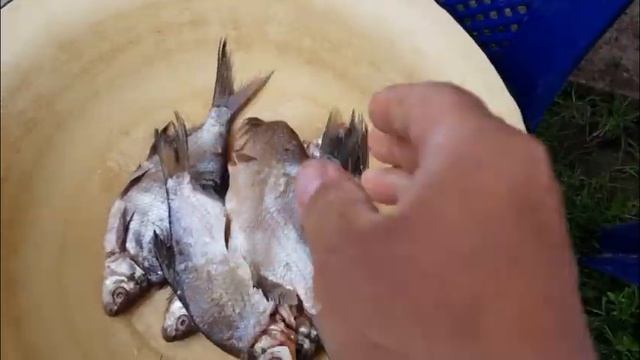 Анимационные Короткометражки