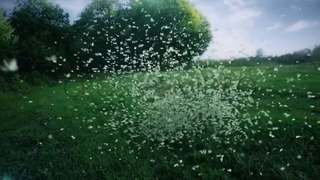Графическая заставка для TV смотреть онлайн