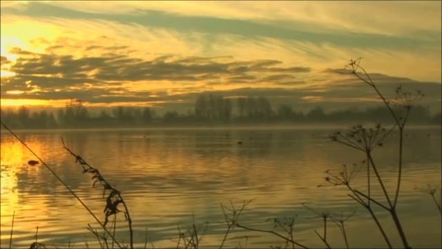Ludovico Einaudi - Una Mattina смотреть онлайн