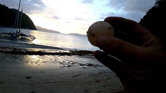 Черепашья кладка 2