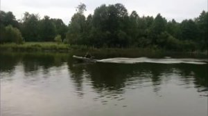 Лодка Пеликан 285Т с лодочным мотором HIDEA 2,5