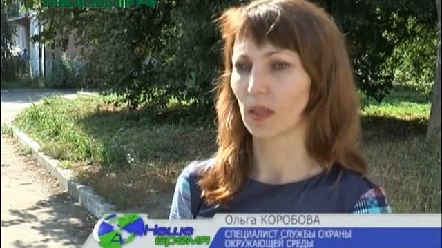 Повреждена корневая система более десятка тополей смотреть онлайн