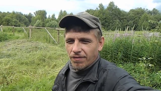 Всем спасибо за советы!Собака для охраны дома в деревне 2. смотреть онлайн