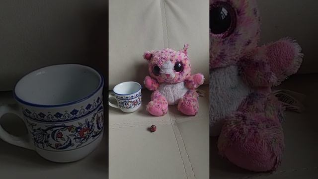 Чтобы суд закончился в вашу пользу (пользу обвиняемого) и судья не придирался⚖️⚖️⚖️ смотреть онлайн