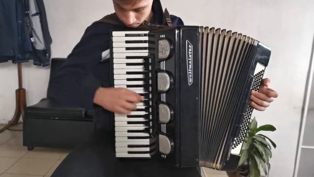 Accordion Weltmeister Stella 120 bass LMMH - Test1 смотреть онлайн