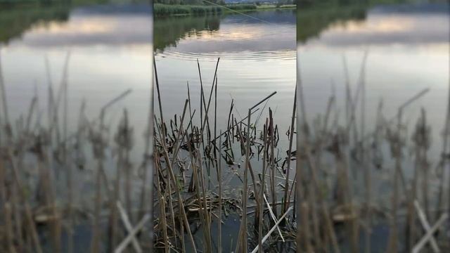 ОТДЫХ ВО ФРАНЦИИ / кемпинг, палатки, озеро, рыбалка смотреть онлайн