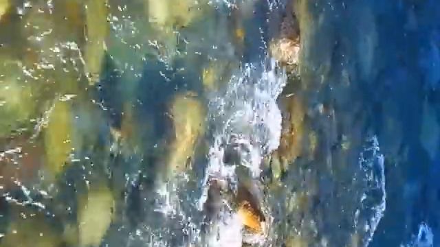 Песня о МАМЕ смотреть онлайн