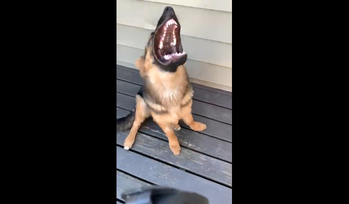 Что ты такое? смотреть онлайн