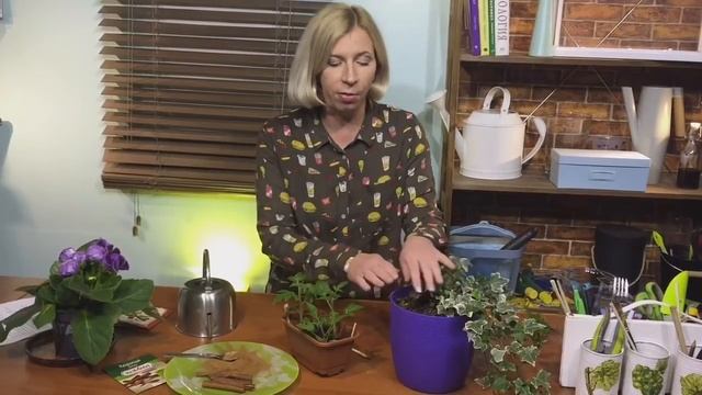 Дневник Дачника Марины Рыкалиной. Полезные свойства корицы смотреть онлайн