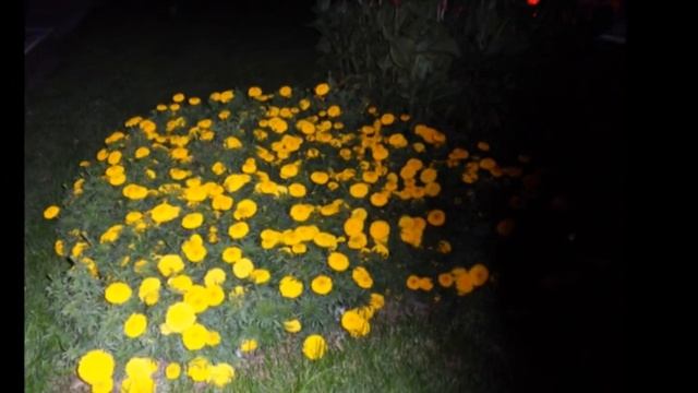 Наступает ночь в Казани смотреть онлайн