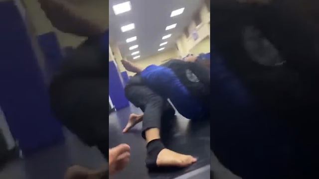 Бразильское джиу джитсу