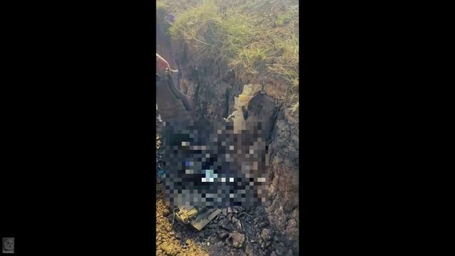 Леопард приуныл у Работино смотреть онлайн