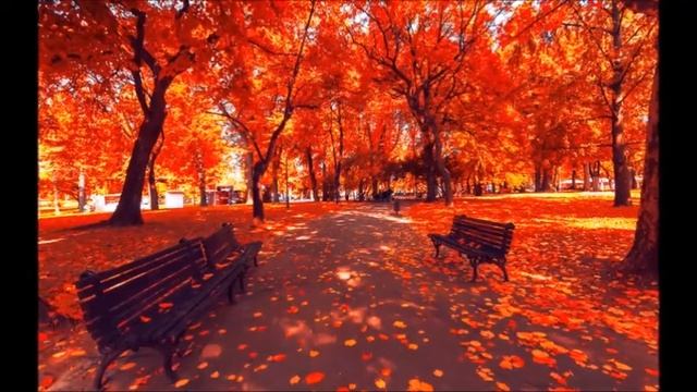 Петрушки 1 год обучения Занятие №10 смотреть онлайн