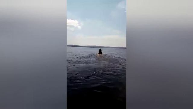 семья Шишкиных смотреть онлайн