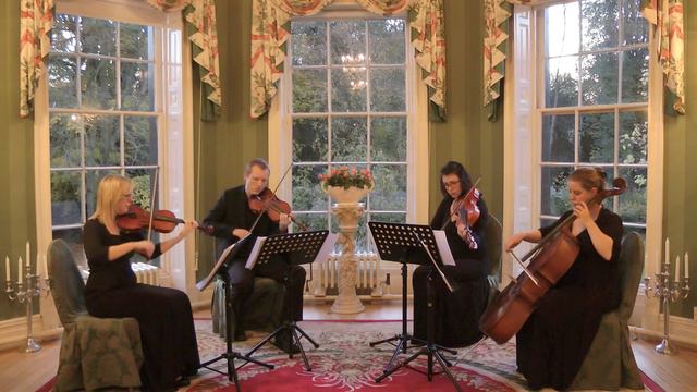 Despacito (Luis Fonsi ft. Daddy Yankee) Wedding String Quartet смотреть онлайн