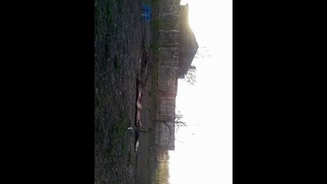 Правильный паркур от Сереги Деревенского смотреть онлайн