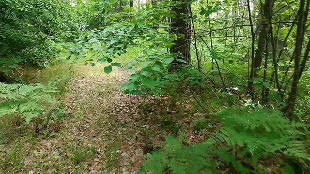 Катаюсь по лесу.Поиск металлома в делянках! смотреть онлайн