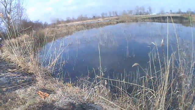 Начало сезона открытой воды смотреть онлайн