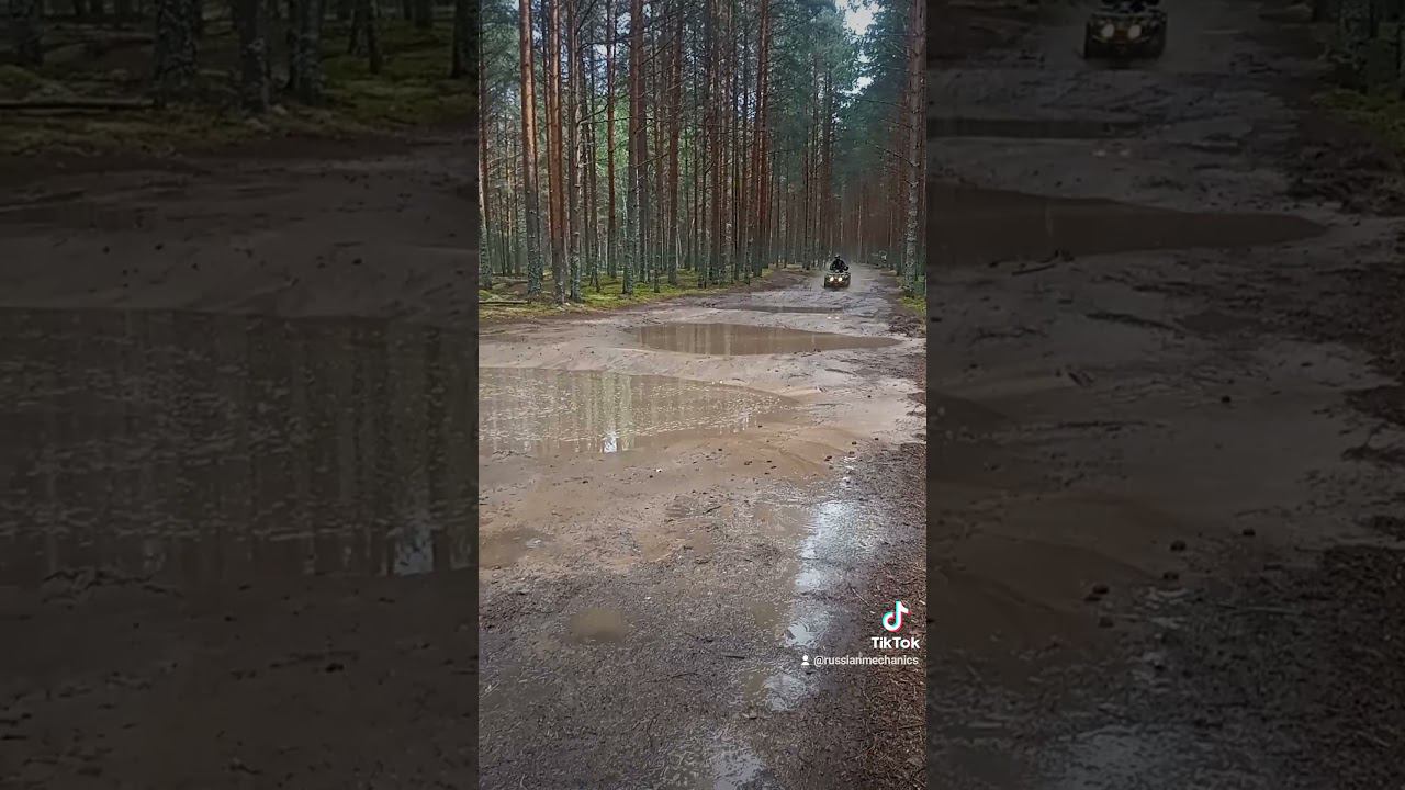 Пора за грибами... смотреть онлайн