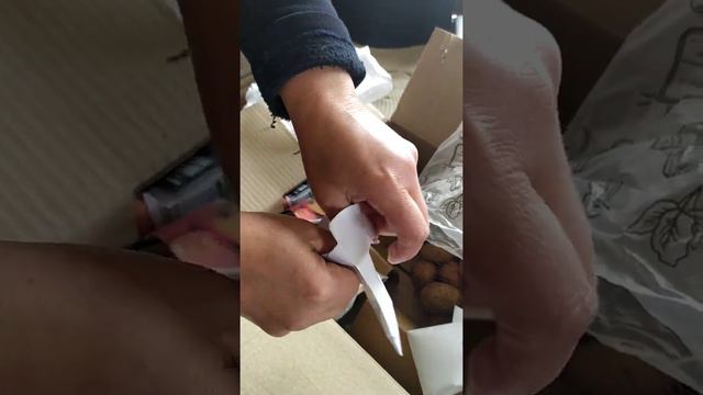 Агромаркет посылка заказ номер 161824149888 смотреть онлайн