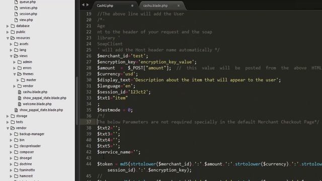 #4 Create Payment With CashU Part 4 смотреть онлайн
