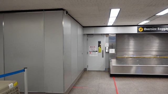 Как я перевез собак в США, поездка с собаками на остров смотреть онлайн