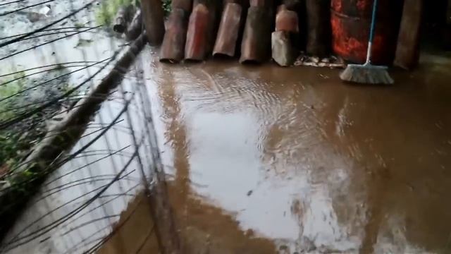 Установка скульптур. Декоративный цемент. Арт бетон. смотреть онлайн