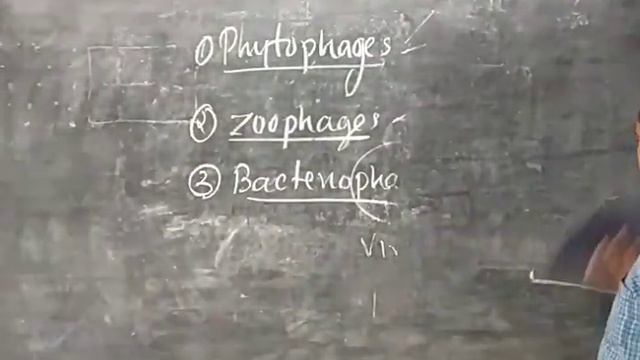 Biological classification 9--19/12/20 смотреть онлайн