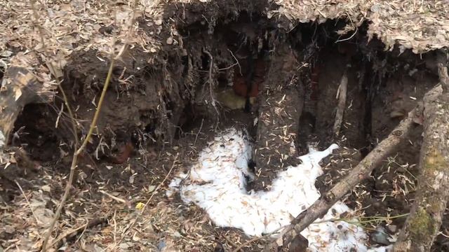 Провал Кашира заброшенная усадьба смотреть онлайн