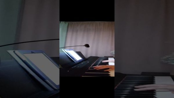 Денис Стельмах, Onsra